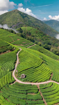 ����ɽ����ɫ��԰���