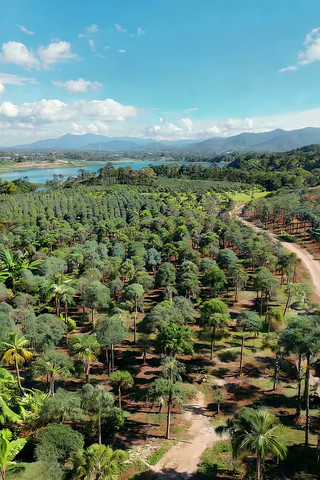 ����ɽ�ֺ�����Ȼ���