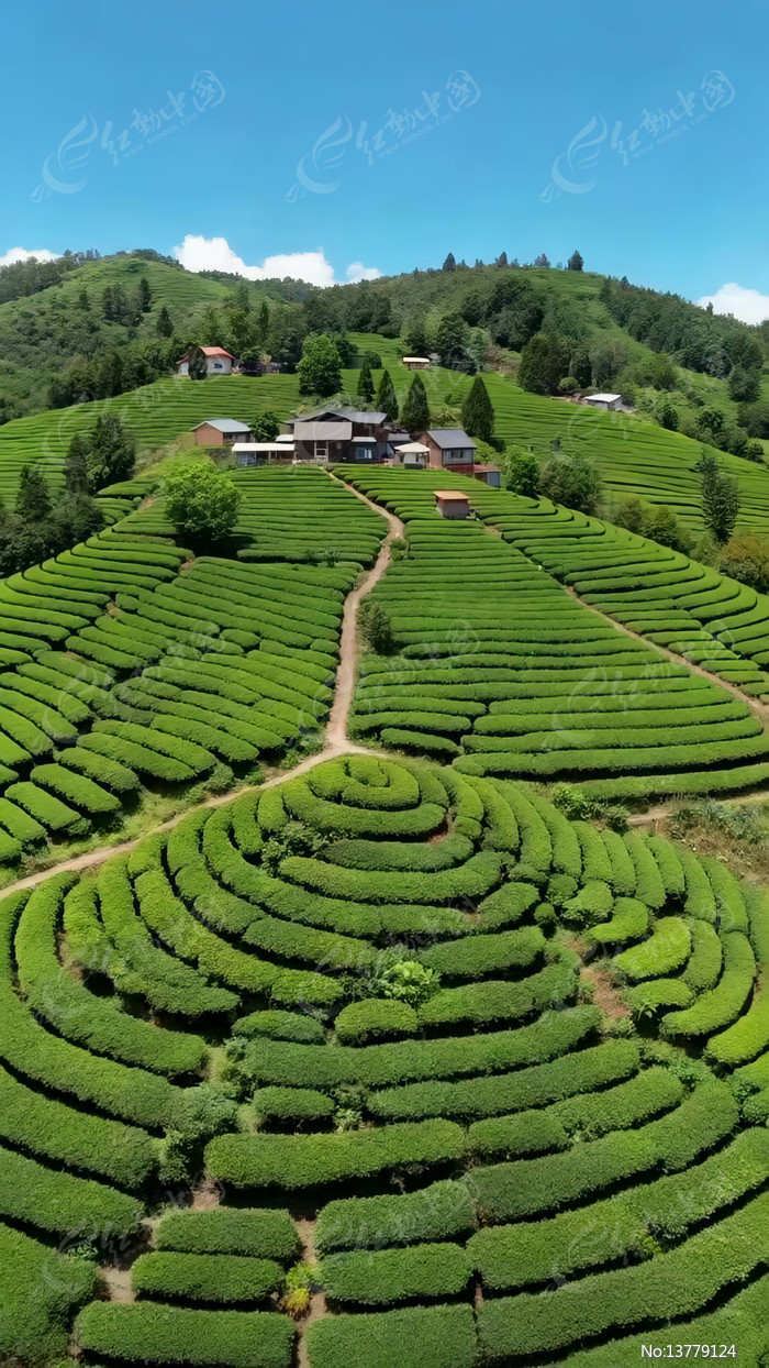 ����ɽ�²�԰����Ӿ���