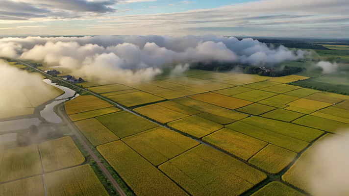 航拍田野云海田园风光 航拍田野云海田园风光