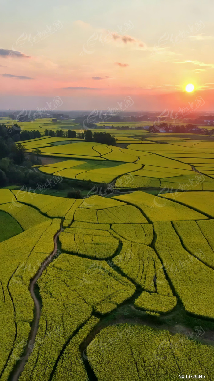 ����Ϧ���µ��Ͳ�ũ��