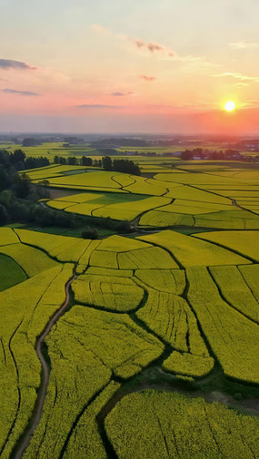 ����Ϧ���µ��Ͳ�ũ��