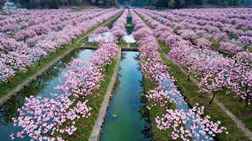 ����ӣ��������Ȼ���