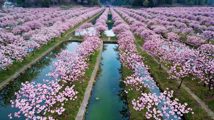 ����ӣ��������Ȼ���