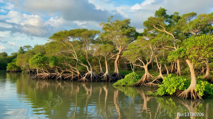 �ӱߺ�������Ȼ����