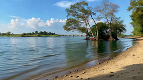 �ӱ�ɳ̲��ľ��Ȼ���