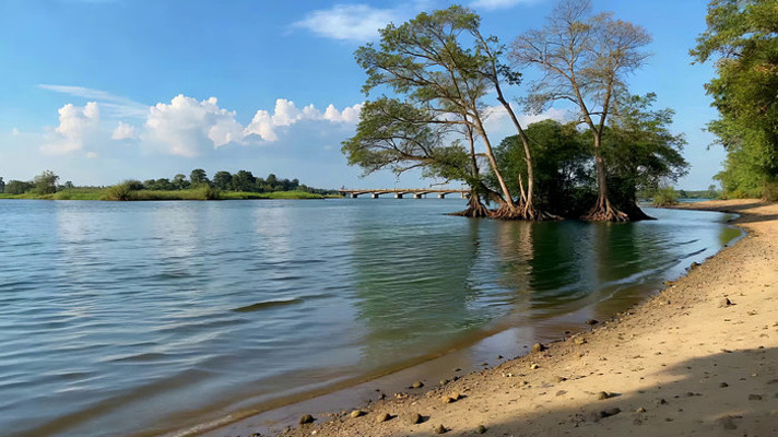 河边沙滩树木自然风光 河边沙滩树木自然风光