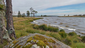 �ӱ�������Ȼ�羰