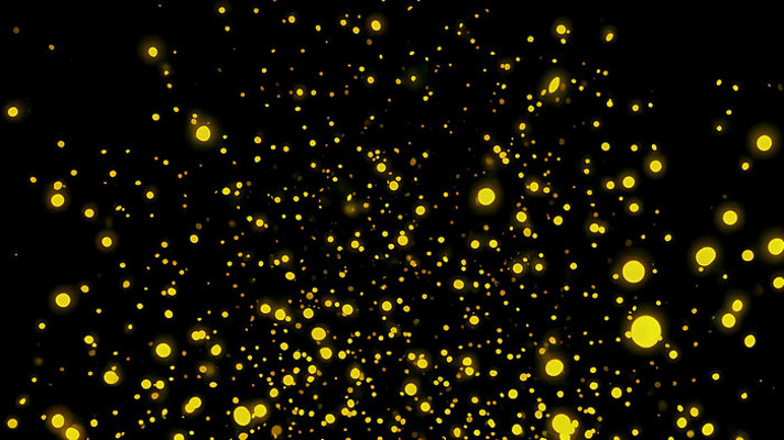 ��ɫ������ɫ������Ч