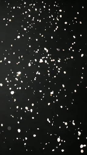 ��ɫ����Ʈѩ�ز�