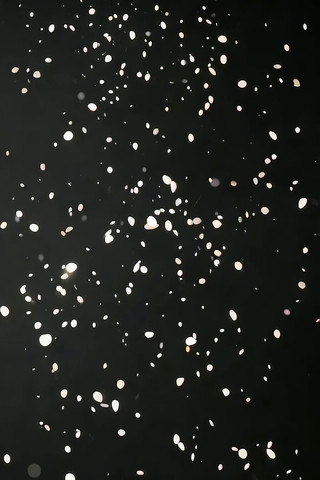 ��ɫ����Ʈѩ�ز�