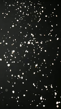 ��ɫ����Ʈѩ�ز�