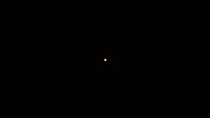 黑色背景烟花绽放特效素材 黑色背景烟花绽放特效素材