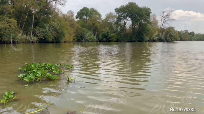 ����������ľ��Ȼ���