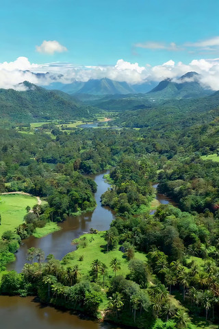 ����ɭ����Ȼ��⸩�