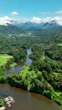 ����ɭ����Ȼ��⸩�