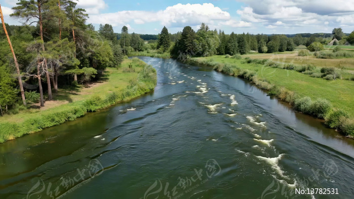 ����ɭ����Ȼ��⸩�