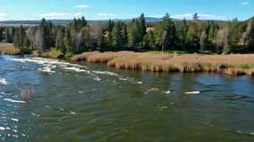 ����ɭ����Ȼ��⸩���