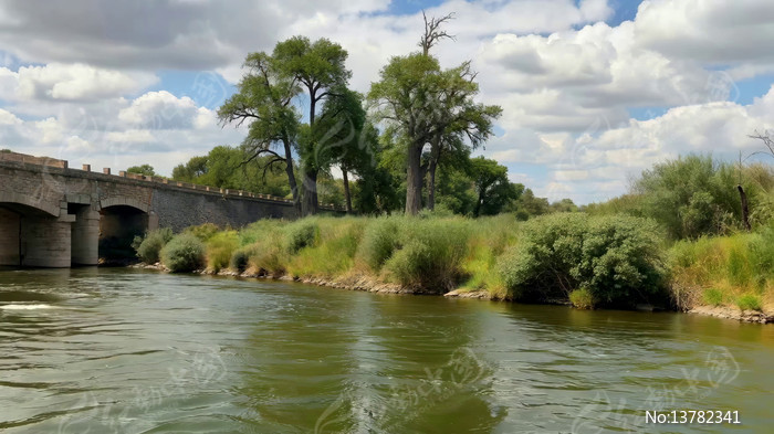 ����ʯ���밶��ֲ���羰