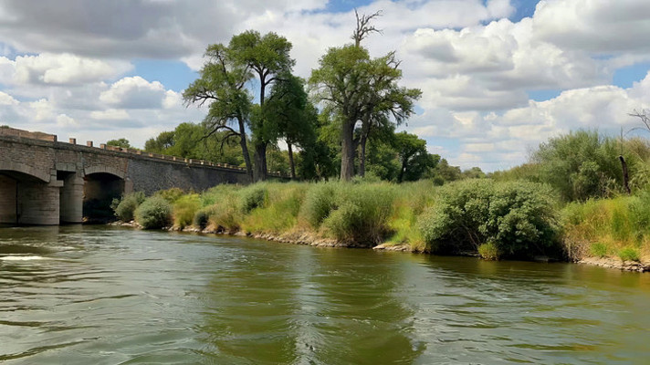 ����ʯ���밶��ֲ���羰