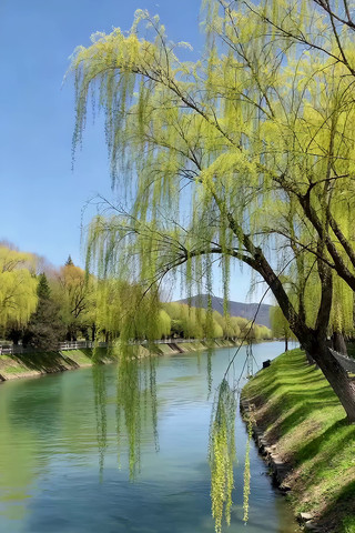 ���ϴ�����ɫ���