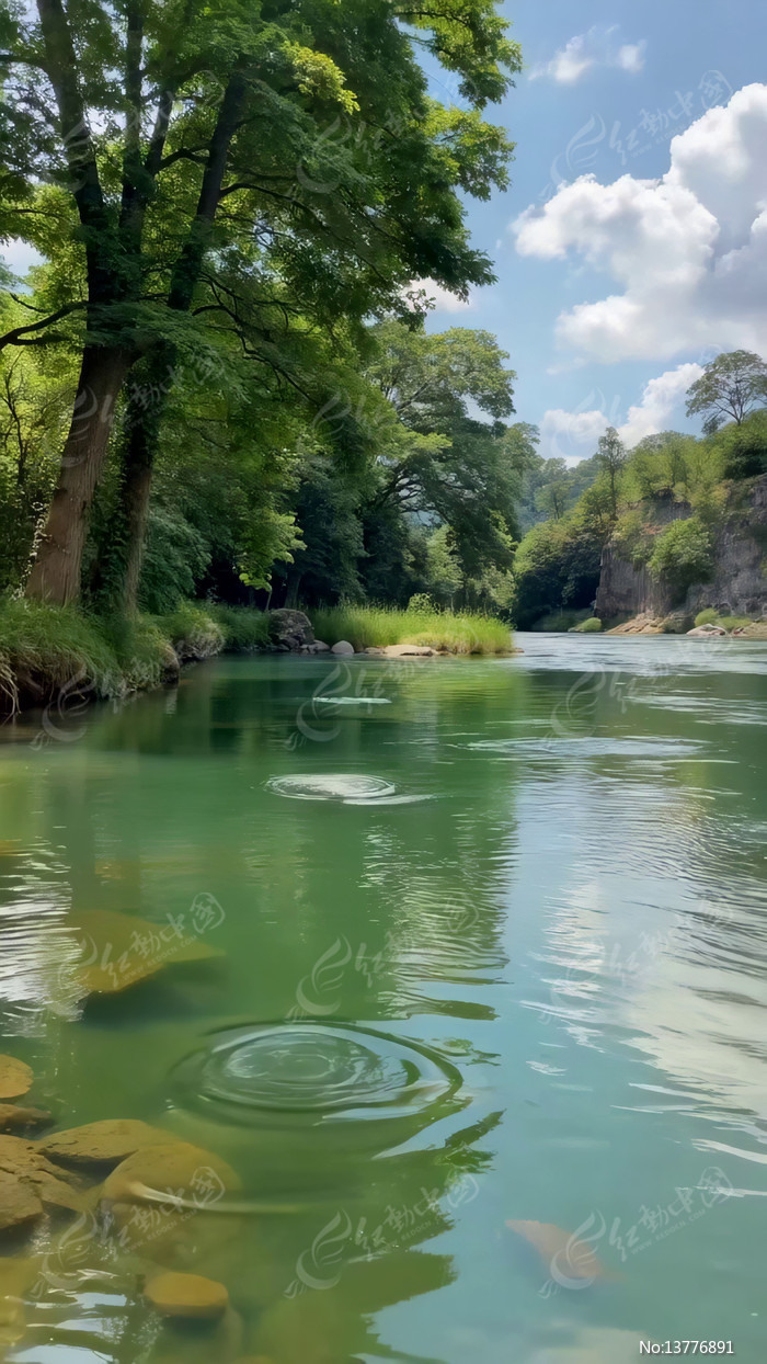 ����������Ȼ���