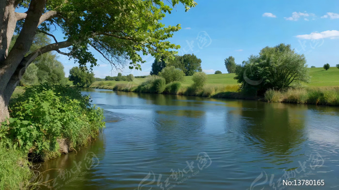 ����������Ȼ���