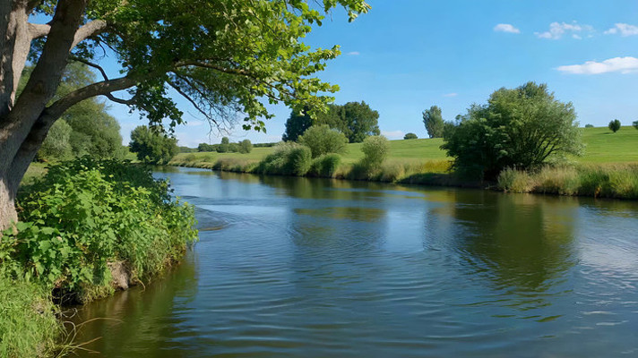 ����������Ȼ���