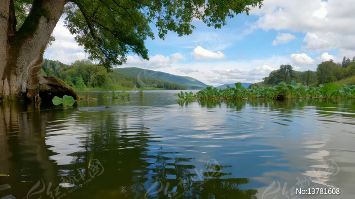 ������ľ��Ȼ���