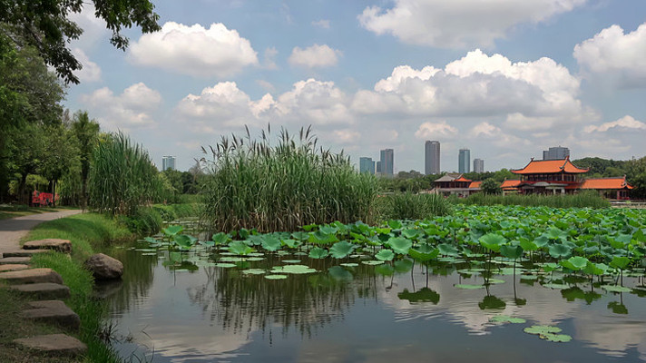 ������ʽ������Ȼ���