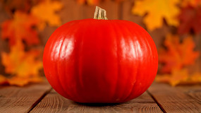 ���ϹϾ�����д