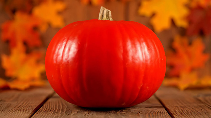 ���ϹϾ�����д