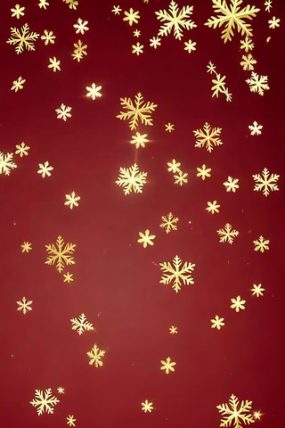 ��ɫ����Ʈ���ɫѩ��