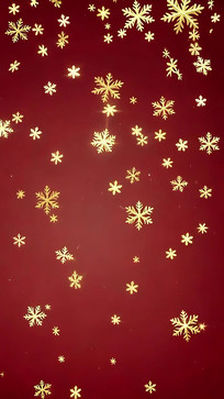 ��ɫ����Ʈ���ɫѩ��