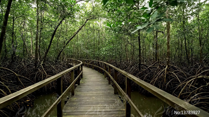 ��������ľ��ջ���羰