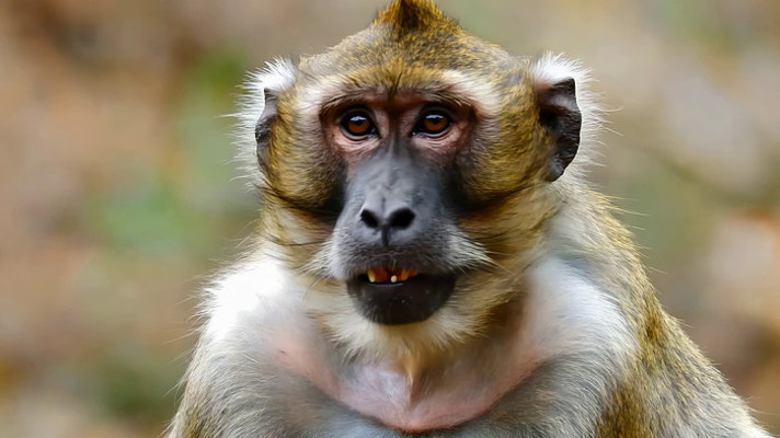 ⨺���д�ز�