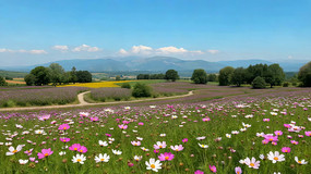 ������Ȼ���ȫ��