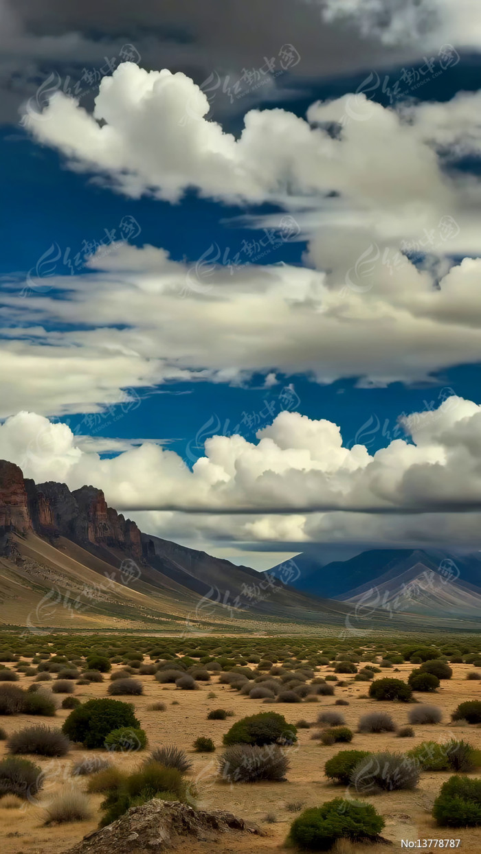 ��Įɽ�����������Ȼ����