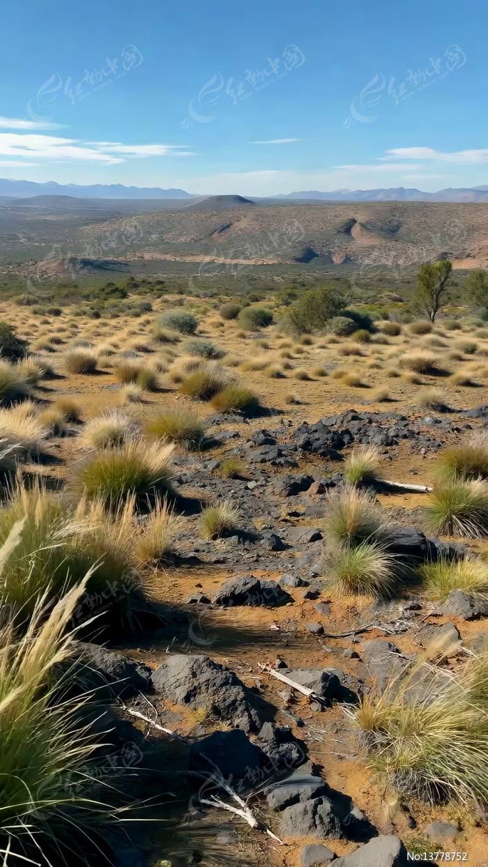 ��Įɽ����Ȼ����