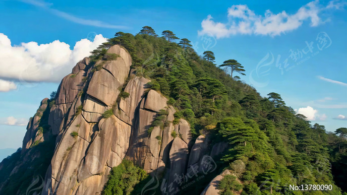 ��ɽɽ����ֲ������