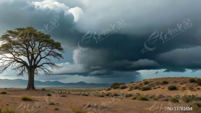 ��Ұ�����������ܲ����