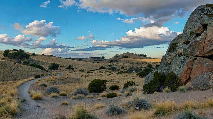 ��ҰС·��Ȼ���