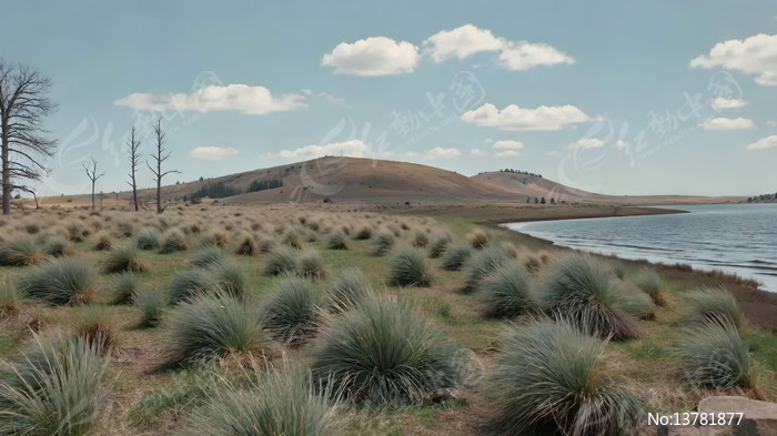 ���߲ݵ���Ȼ���