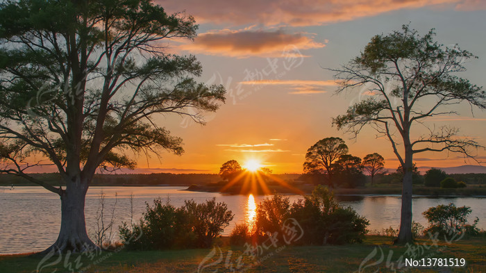 ����������Ȼ���