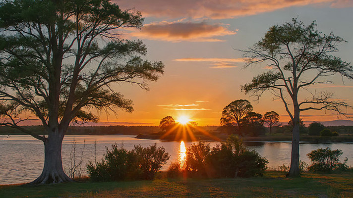 ����������Ȼ���