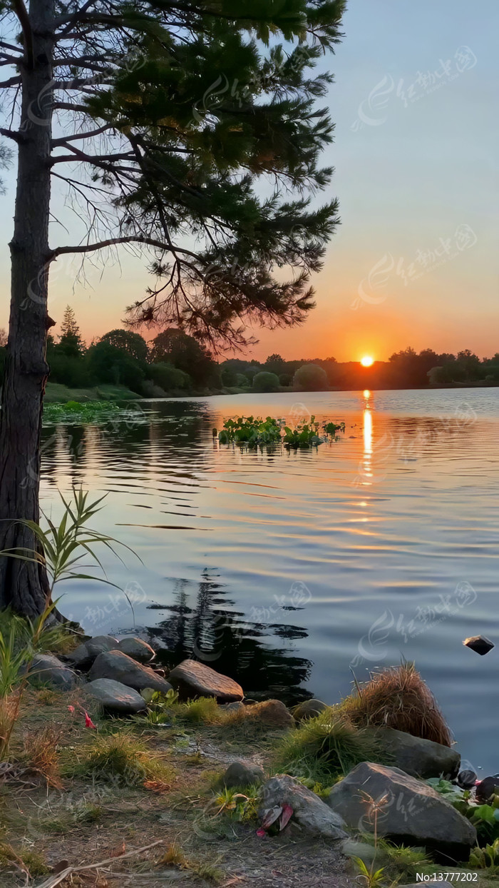 ����������Ȼ����ز�