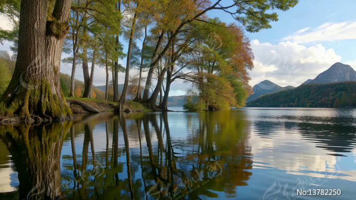 ����������Ȼ���