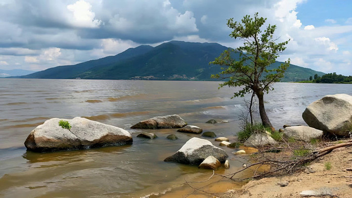 ������ʯ��ľ��Ȼ���