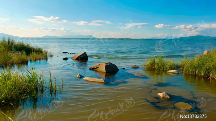 ������Ȼ���