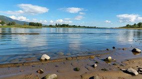 ������Ȼ������